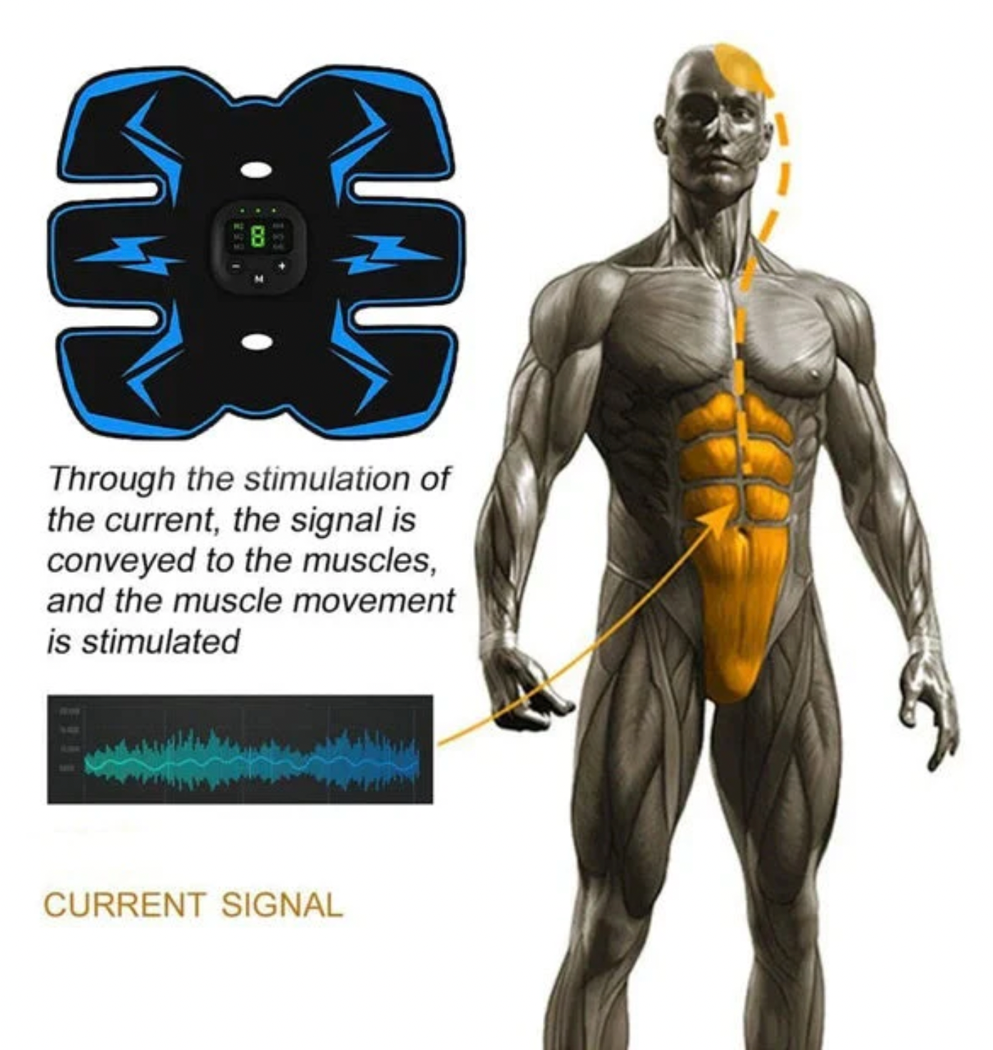 Glitzary™ ABS Stimulator