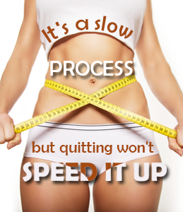 The Lose Your Belly Diet E-Book